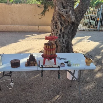תוצר מתוך הכנת שמן זית