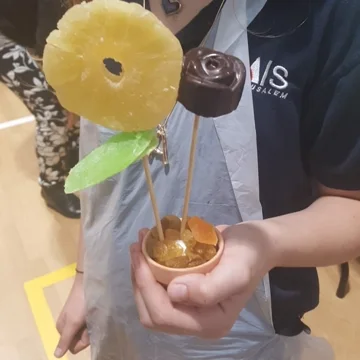 סדנת עציץ משיפודי פירות ופרלינים